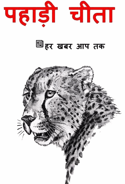 Pahadi Cheetah News
