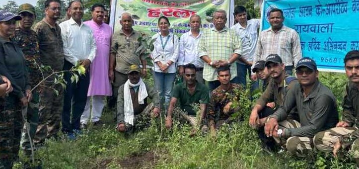 हरेला मास में बैंक और वन विभाग ने मिलकर लगाए सैकड़ों पौधे