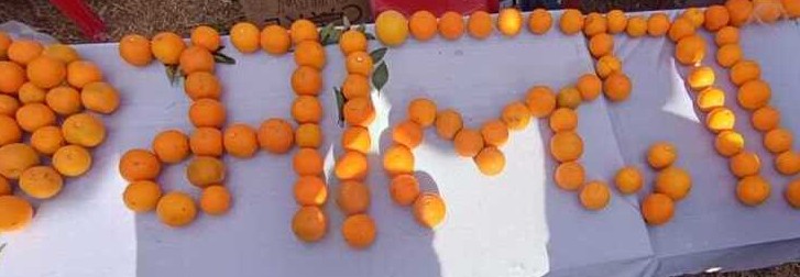 चम्पावत में धूमधाम से मनाया गया ‘माल्टा महोत्सव’, सिट्रस फलों की प्रदर्शनी एवं प्रतियोगिता आयोजित