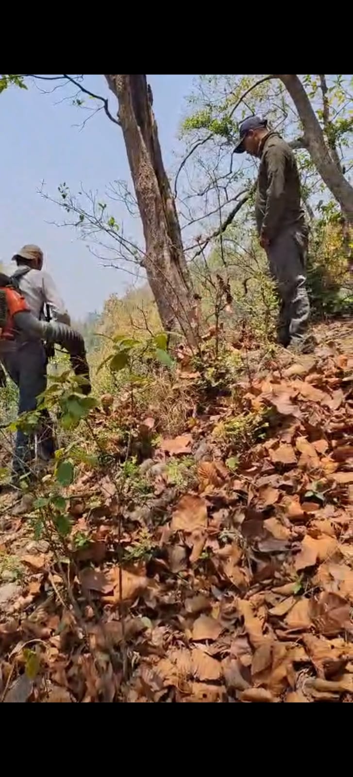 देहरादून: दुधली के जंगलों में लगी आग, वन विभाग ने पाया काबू