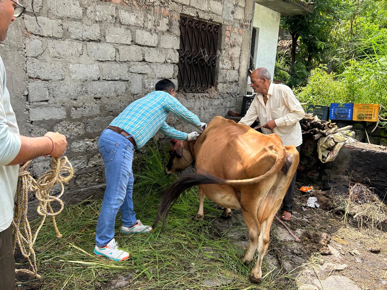 नारायणबगड़ में कुत्तों के काटने की बढ़ती घटनाओं के बीच पशुपालन विभाग ने चलाया सघन टीकाकरण अभियान